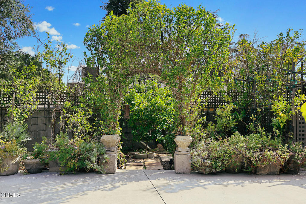 MLS #P1-24117 image #37