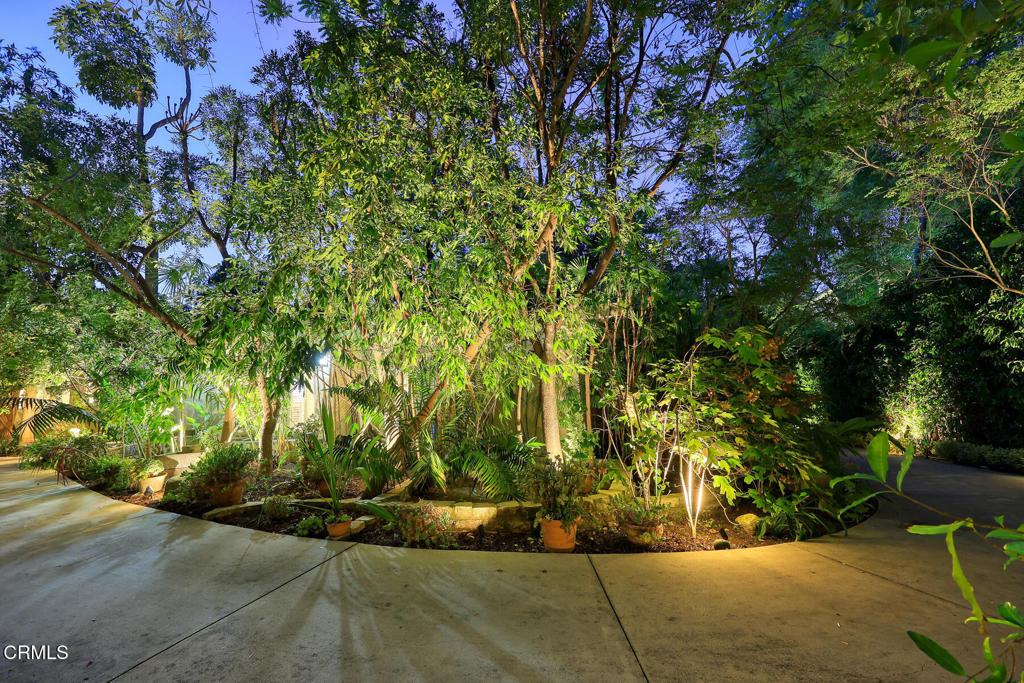 MLS #P1-24117 image #44