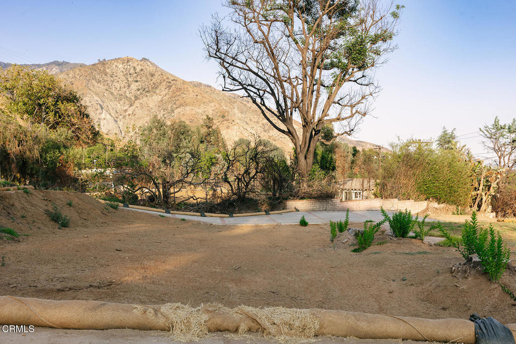 MLS #P1-24191 image #4