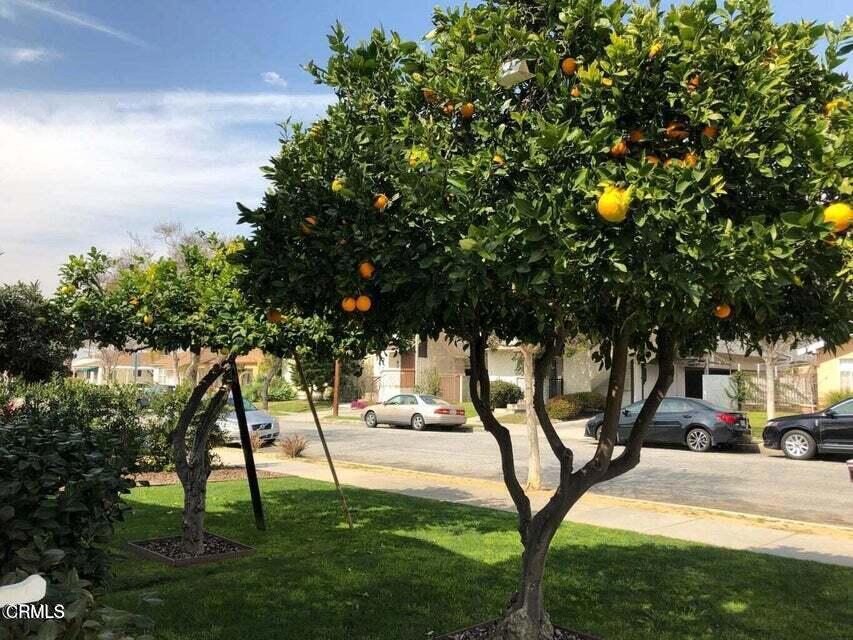 MLS #P1-24200 image #27