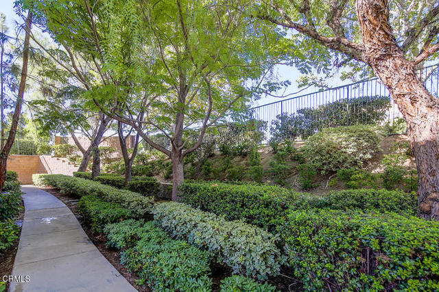 MLS #P1-24207 image #18