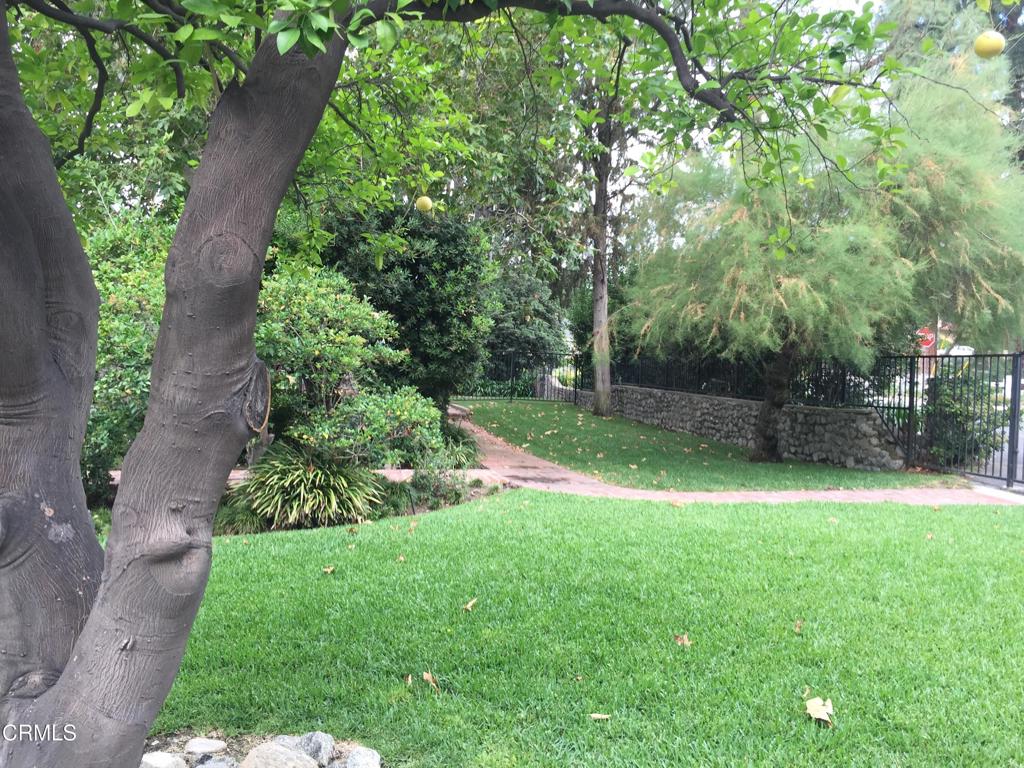 MLS #P1-24209 image #10