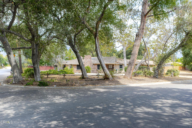 MLS #P1-24216 image #2