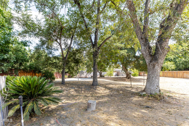 MLS #P1-24216 image #37