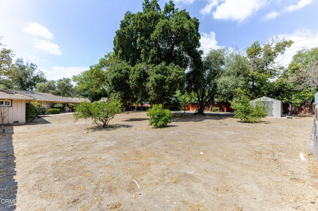 MLS #P1-24216 image #39