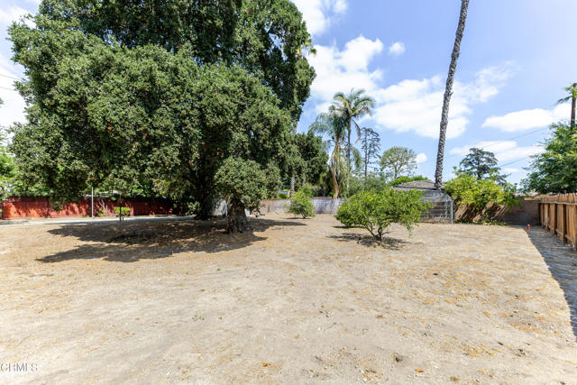 MLS #P1-24216 image #40