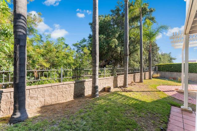 MLS #P1-24228 image #56