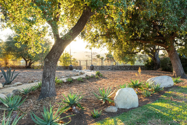 MLS #P1-24238 image #57