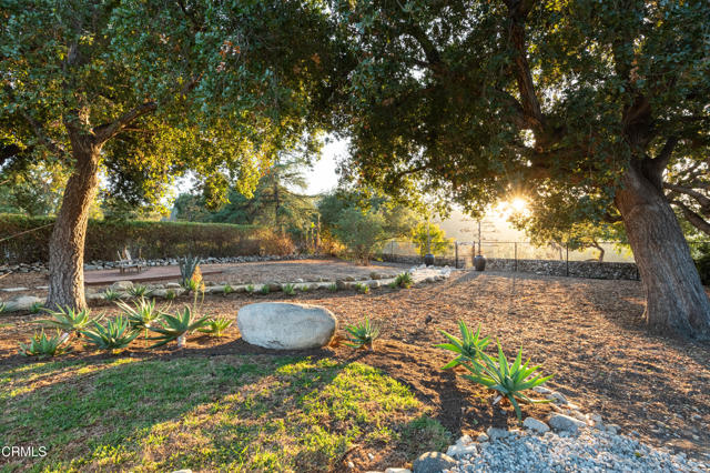 MLS #P1-24238 image #58