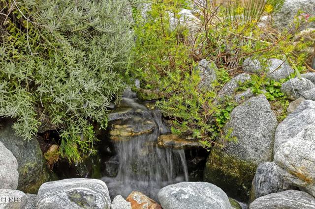 MLS #P1-24245 image #30