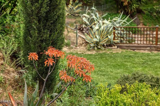 MLS #P1-24245 image #32