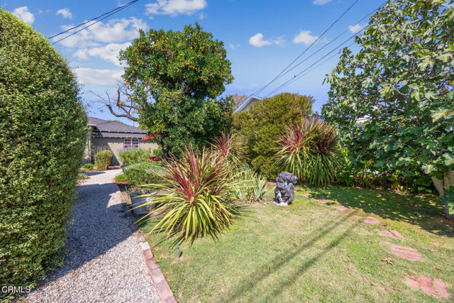 MLS #P1-24271 image #29