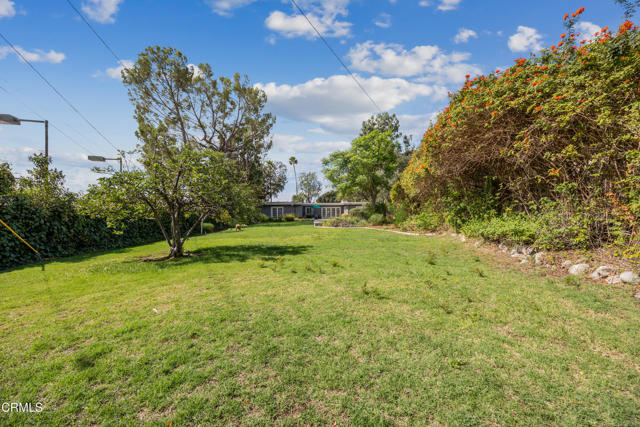 MLS #P1-24285 image #55