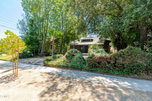 MLS #P1-24310 image #9