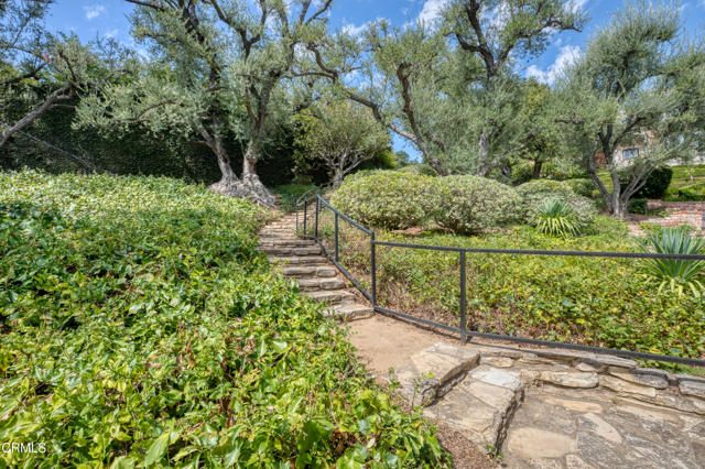 MLS #P1-24347 image #67