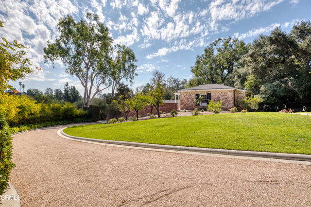 MLS #P1-24347 image #72