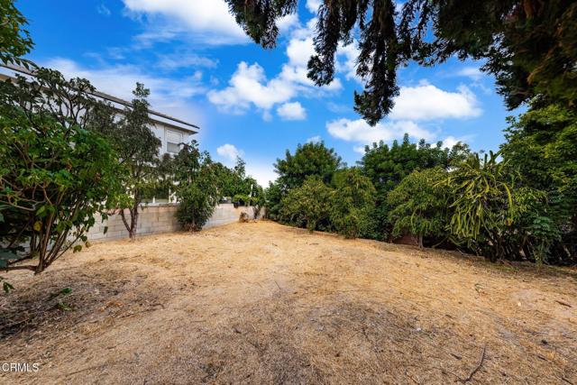 MLS #P1-24386 image #27