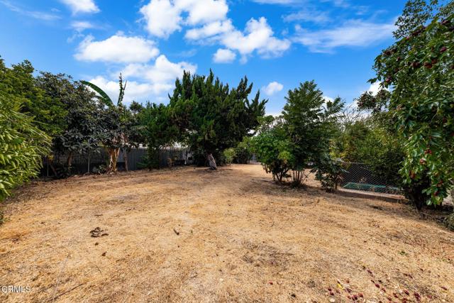 MLS #P1-24386 image #28