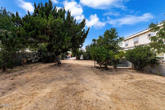 MLS #P1-24386 image #29