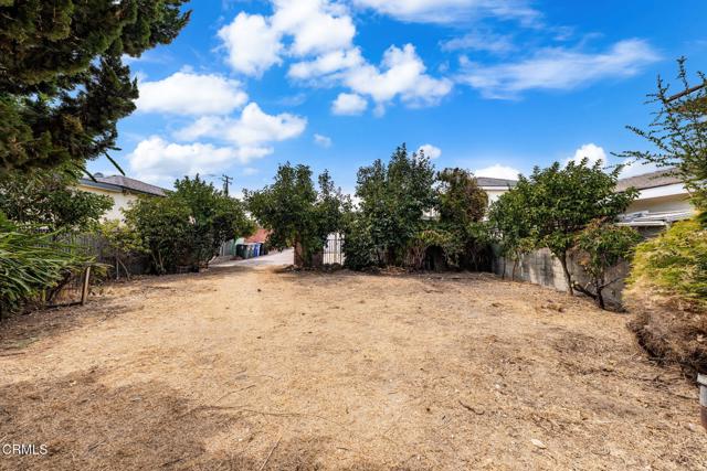 MLS #P1-24386 image #30