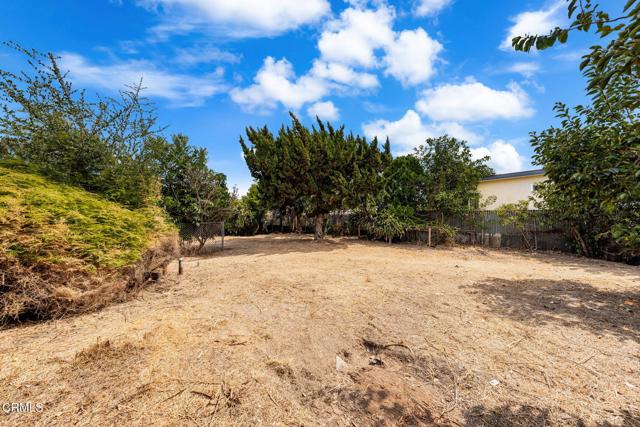 MLS #P1-24386 image #31