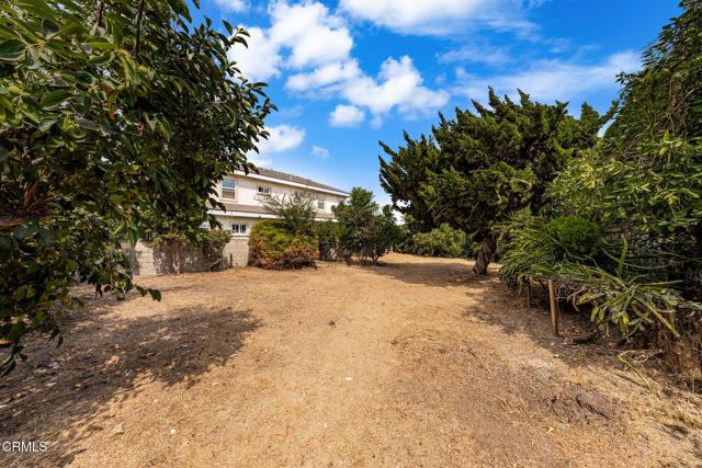 MLS #P1-24386 image #32