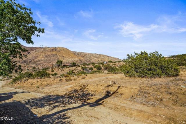 MLS #P1-24404 image #11