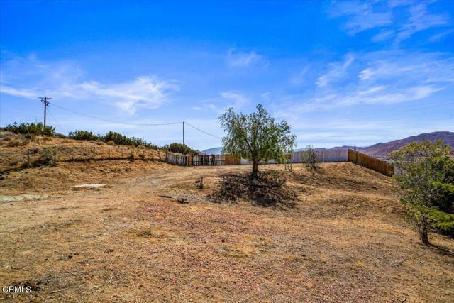 MLS #P1-24404 image #12