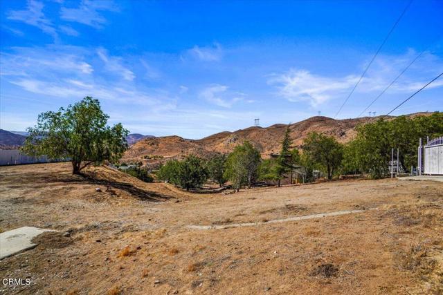 MLS #P1-24404 image #13