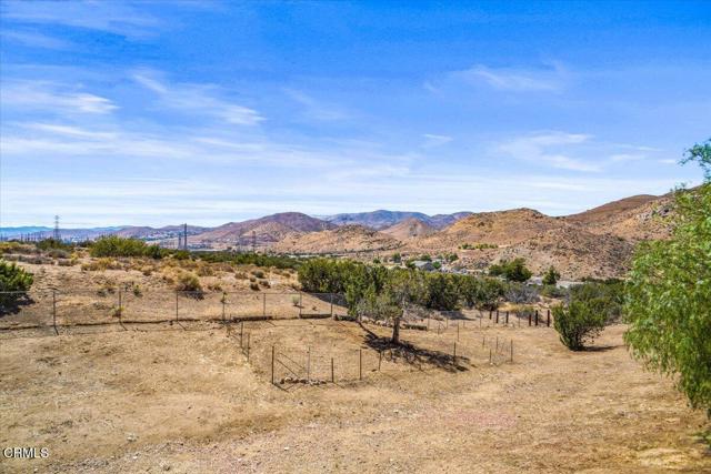 MLS #P1-24404 image #7