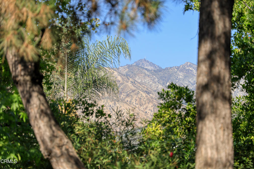 MLS #P1-24411 image #20