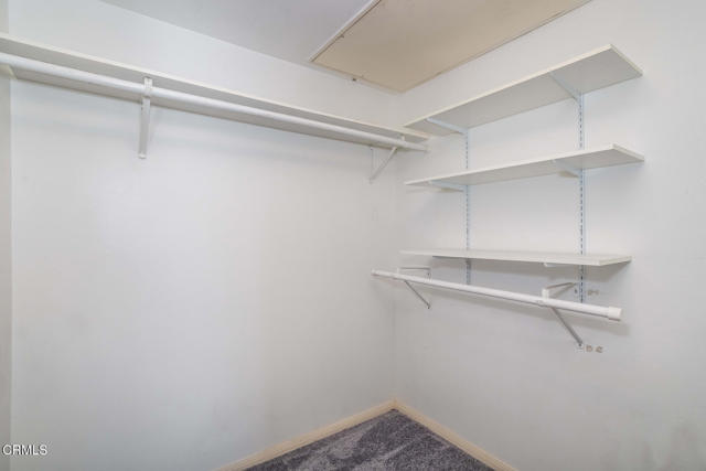 MLS #P1-24412 image #30