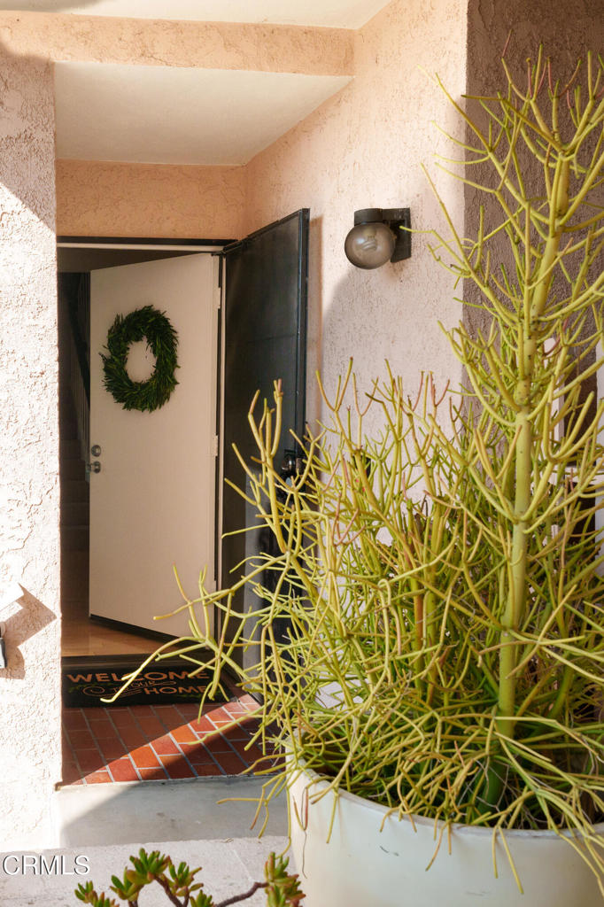 MLS #P1-24416 image #2