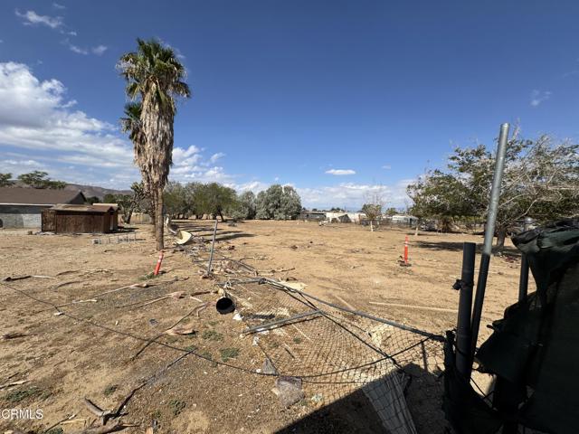 MLS #P1-24428 image #8
