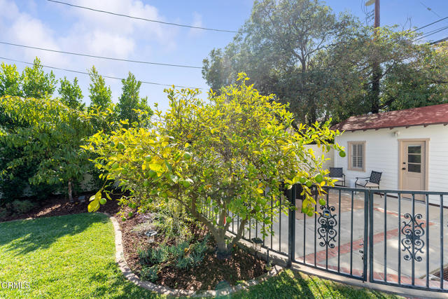 MLS #P1-24459 image #42