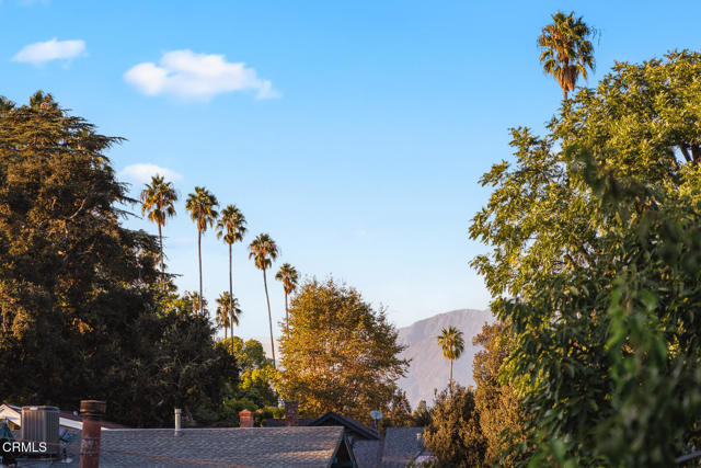 MLS #P1-24473 image #37