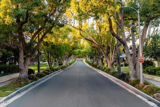 MLS #P1-24473 image #46