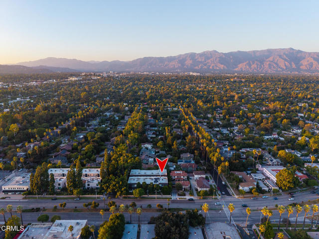 MLS #P1-24473 image #49