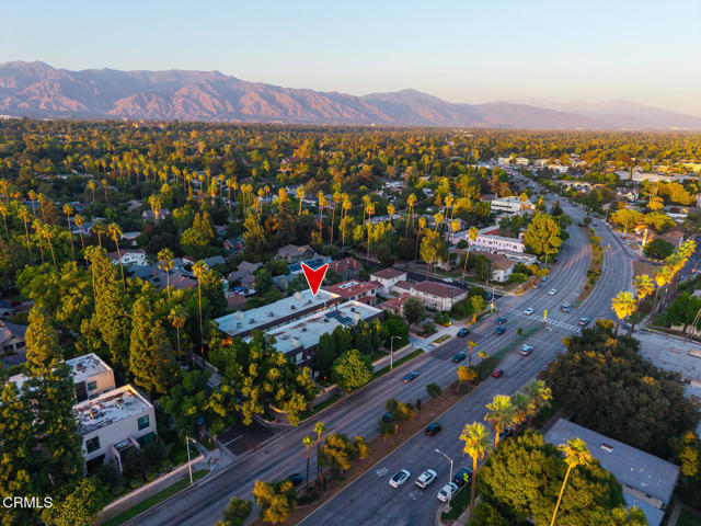 MLS #P1-24473 image #50