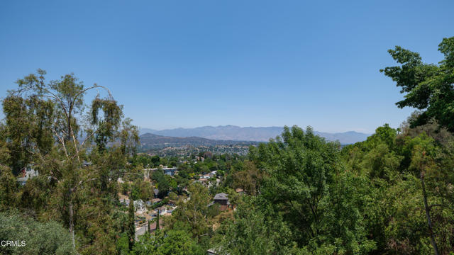 MLS #P1-24501 image #42