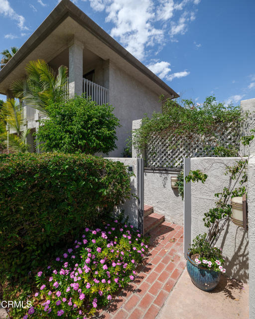 MLS #P1-24504 image #47