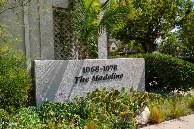 MLS #P1-24504 image #55