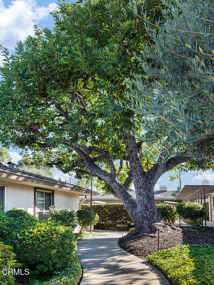 MLS #P1-24539 image #2