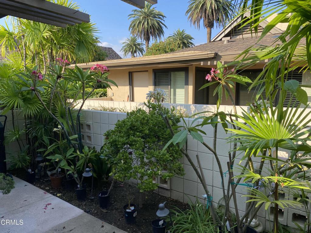 MLS #P1-24539 image #5