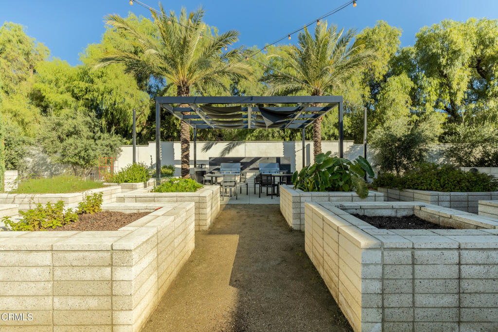 MLS #P1-24555 image #32