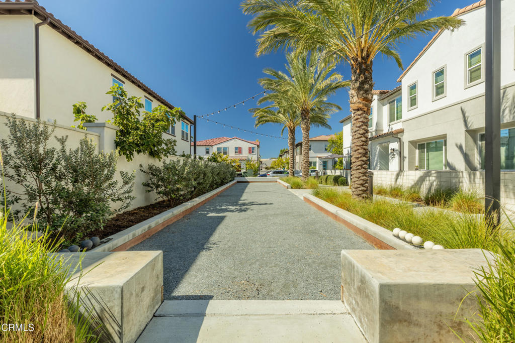 MLS #P1-24555 image #35