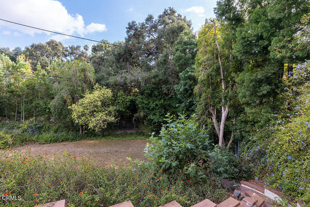 MLS #P1-24560 image #28