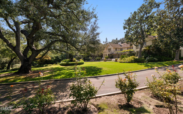 MLS #P1-24587 image #17