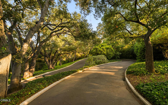 MLS #P1-24587 image #19