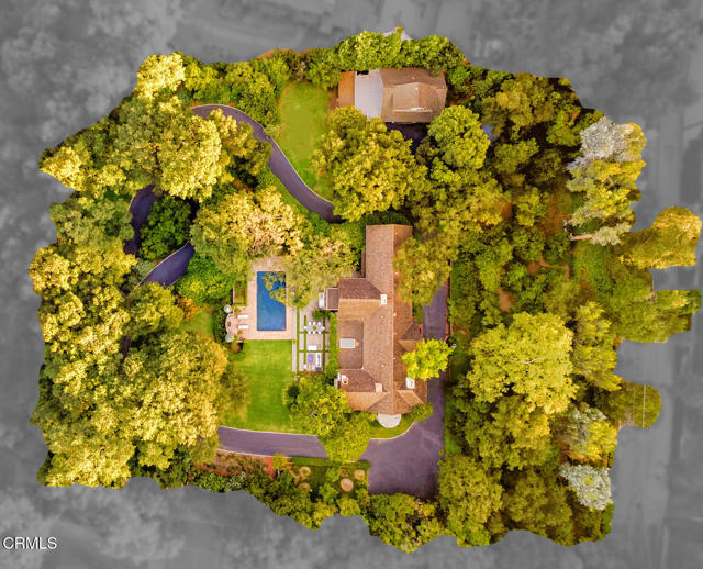 MLS #P1-24587 image #22